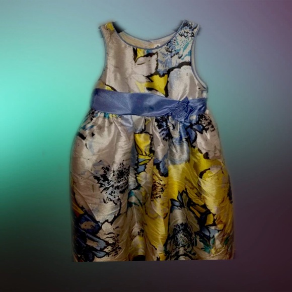 Elegant little girls dress - Picture 1 of 2